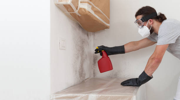 Professional Basement Mold Remediation technician working in Hummelstown, PA