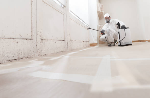 24/7 Emergency Basement Mold Remediation experts in Hummelstown, PA